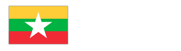 Mvisa